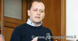 Salerno verso le Comunali, Franco Annunziata (Buona Destra): "Centro destra ancora fermo al palo" - Punto Agro News.it