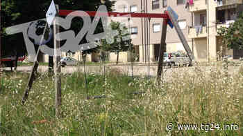 Sora – M5S: “lavori a Pontrinio, tutto inesorabilmente fermo” - TG24.info