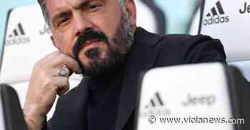 Gattuso-Viola amore già finito? Il tecnico potrebbe restare fermo un anno - Viola News