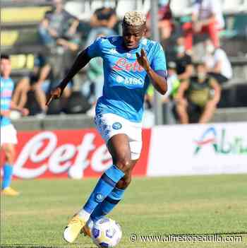 Agente Osimhen: “E’ stato fermo a lungo, mi dispiace per i giudizi affrettati. Con Gattuso c&# ... - alfredopedulla.com