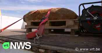 Evergem scant tot 3 meter diep in de bodem op bommen: "We zijn zeker dat er nog zitten" - VRT NWS