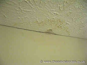 Rogue landlord fined over £15,000 over failings in Richmond