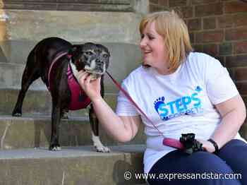 Dudley animal lover embarks on walking challenge for Blue Cross Charity with pet dog by her side - expressandstar.com