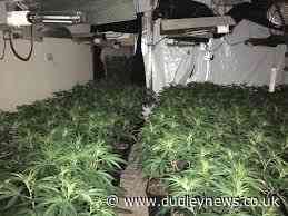 Investigations continue as cannabis plants seized in Dudley | Dudley - Dudley News