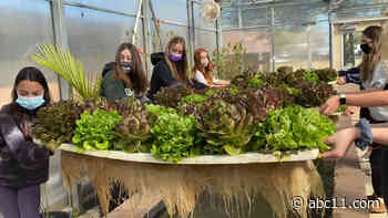 Drop the Beet Farms is growing food sustainably through the power of aquaponics in NJ