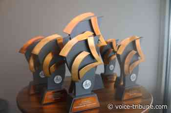 Fund for the Arts Awards in the Arts 2021 - Voice Tribune