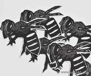 SUNY Potsdam's 2021 virtual LoKo Arts Festival set for April 29 to May 9 - NNY360