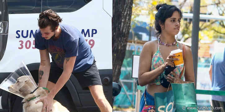 Shawn Mendes & Camila Cabello Pick Up Their Pup Tarzan From the Vet