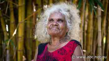 For some, 'it's a brighter day'. But others are lamenting the loss of a Dan Murphy's in Darwin