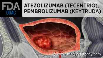 Two FDA Wins for Immunotherapy in Bladder Cancer