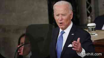 Five hot-button issues Biden didn't mention in his address to Congress