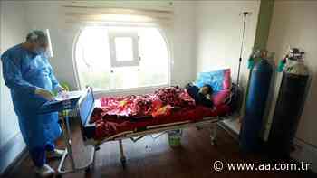 Coronavirus situation update in 4 Arab countries - Anadolu Agency