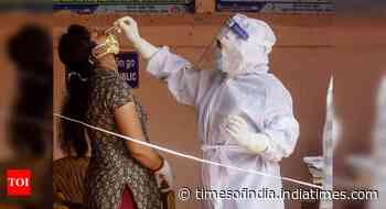 Coronavirus live updates: Over 3.8 lakh new cases reported across India, 3,502 deaths - Times of India