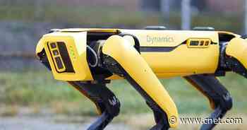 NYPD terminates robot police dog contract with Boston Dynamics     - CNET