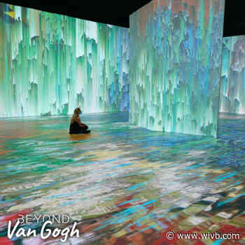 Let's "Gogh" Buffalo! An immersive Vincent Van Gogh experience is coming to the Eastern Hills Mall