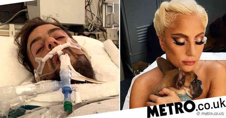 Suspects who shot Lady Gaga’s dog walker and stole her French bulldogs charged with attempted murder and robbery