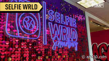 Selfie WRLD will help you spice up your social media!