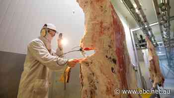 Chinese-banned beef exporter uses machine learning to fix labelling issues