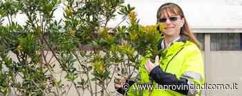 «Abito a un passo da Villa Erba Ma mi convocano in Valsassina» - La Provincia di Como