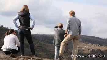 In-fighting over coal mine approvals in NSW state parks