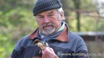 Flauschiges Findelkind - Süddeutsche Zeitung