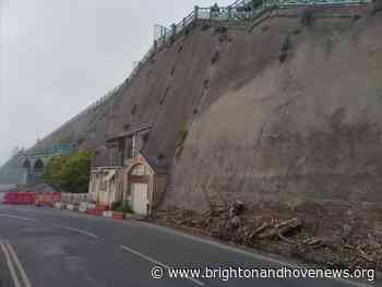 Investigation ordered into denuding of Brighton's green wall - Brighton and Hove News