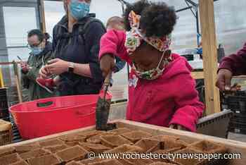 City Hall seeks to grow Rochester's urban farms and gardens