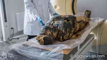 Egyptian mummy was a pregnant woman, not a male priest