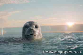 Carlsberg promotes WWF partnership with winsome sea creatures