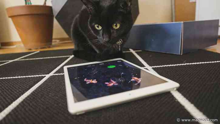 This iOS game was made for a cat and reviewed by a cat
