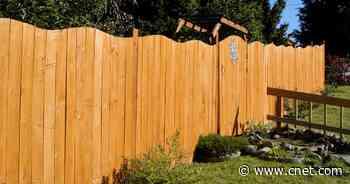 Privacy fences: Everything you need to know before installing them     - CNET