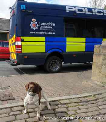 Police dog sniffs out drugs, cash and weapons in Burnley as two arrested during morning raid