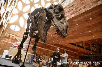 Forget digging for fossils. This museum 3D printed a full T-Rex skeleton instead