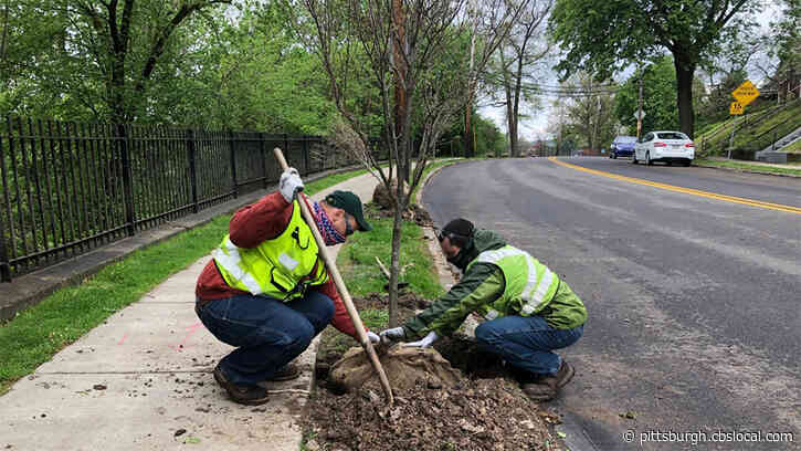 City Of Pittsburgh, Duquesne Light Team Up To Plant Trees For Arbor Day
