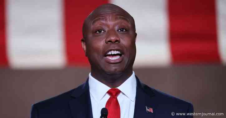David Harsanyi: Sen. Scott and VP Harris Said Exactly the Same Thing – Here’s How the Media Responded