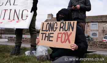 Hunt saboteur battered and 'left for dead' after trying to protect badgers - Daily Express