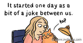 When the Other Writer in the House Is Furry and Uses a Litter Box