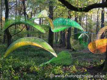 Bid to attract people to the art of the Forest - The Forest of Dean Review