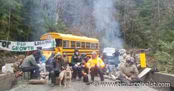 Old-growth forest activists appeal injunction against blockades - Times Colonist