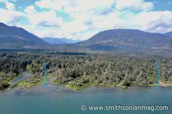 Indigenous Peoples in British Columbia Tended 'Forest Gardens' - Smithsonian Magazine