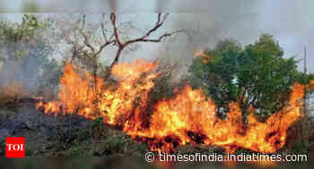 Forest fire in Mizoram’s Lawngtlai district - Times of India