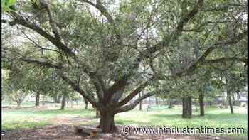 Centre seeks expression of interest for draft amendment to Indian Forest Act - Hindustan Times