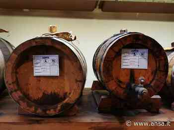 Tutela e valorizzazione, priorità per Aceto balsamico Modena - Terra & Gusto - Agenzia ANSA