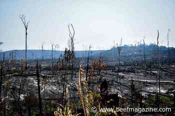 Listen up Congress: Be proactive in preventing fires with land management