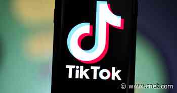TikTok names new CEO and COO after 8 months of interim leadership     - CNET