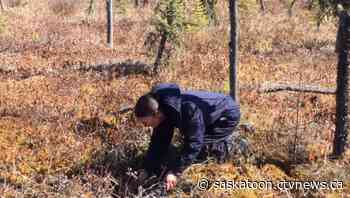Lac La Ronge Indian Band, residents continue to fight against peat harvesting on traditional land