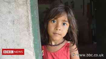 They are killing our forest, Brazilian tribe warns