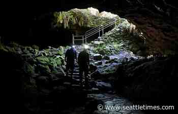 Ape Cave near Mount St. Helens to reopen in May, reservations are now required - The Seattle Times