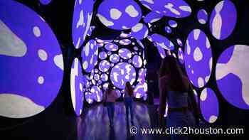 5 things to do in Houston when the weather is lousy - KPRC Click2Houston