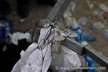 Dozens killed in stampede at ultra-Orthodox religious festival in Israel - Barrhead News